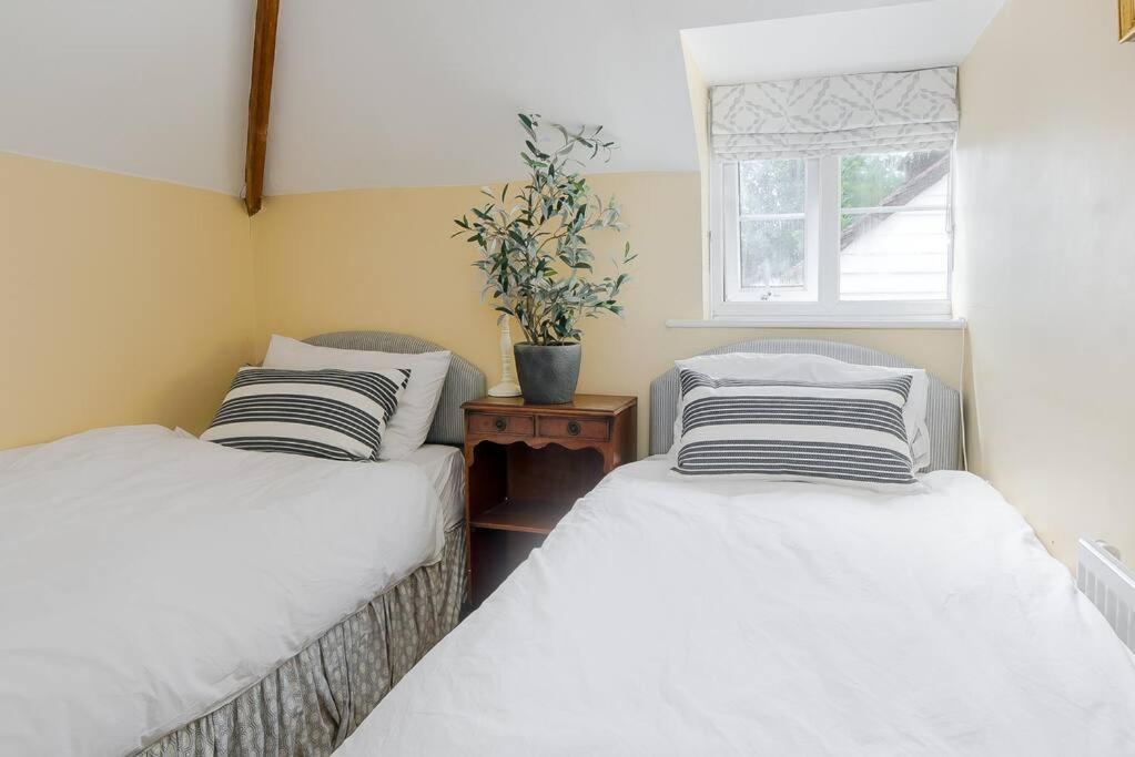 Adorable 2 Bedroom Guest House ホークハースト エクステリア 写真